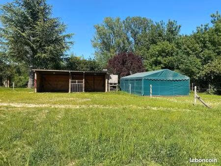 prairie pour chevaux