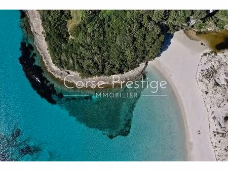 villa de 9 pièces de luxe en vente bonifacio  corse