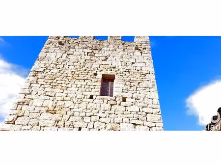 vente château 10 pièces