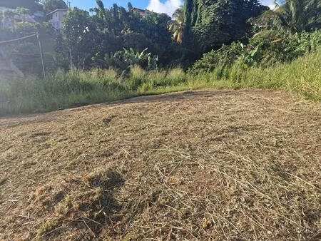achat terrain 517m² schoelcher 97233