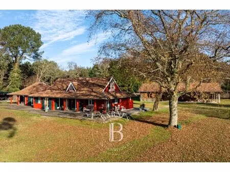 landes  très bel airial dans un environnement privilégié