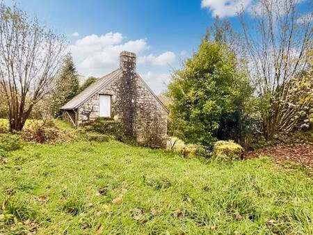 vente maison 2 pièces 78 m² plouray (56770)