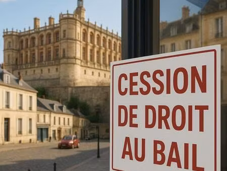 vente commerce 20 m² saint-germain-en-laye (78100)