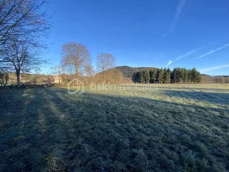 vente terrain 1600 m² à saint-paulien (43350)  29 100 €