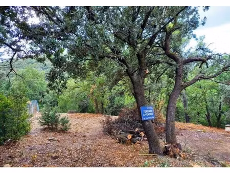 vente terrain 647 m² à saint-montan (07220)  74 000 €