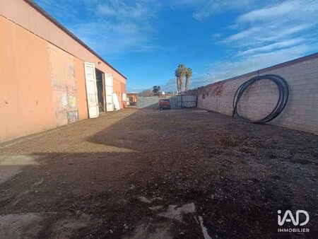 vente hangar 325 m²