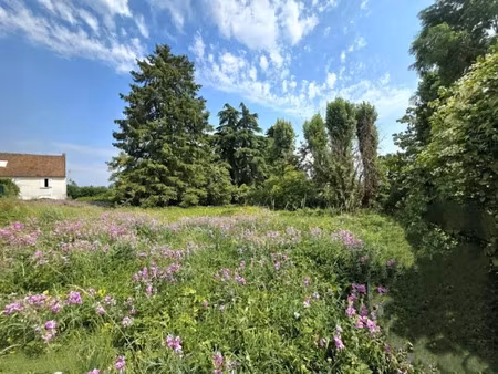 vente terrain 659 m² à epiais-rhus (95810)  150 000 €