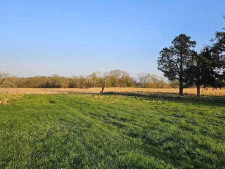 vente terrain à peillac (56220) : à vendre / 1360m² peillac