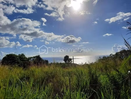 vente terrain 5020 m² à vieux habitants (97119)  195 000 €