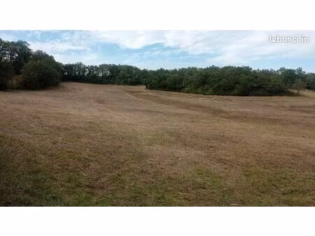 terres agricoles pour céréales  foin  arbres .... superficie : 52367 m2
