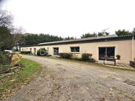 vente terrain à nozay (44170) : à vendre / 200000m² nozay