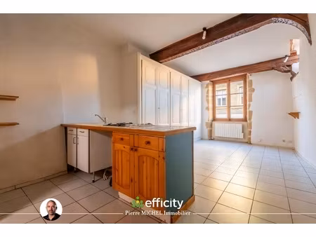 appartement 1 pièce - 31 m²