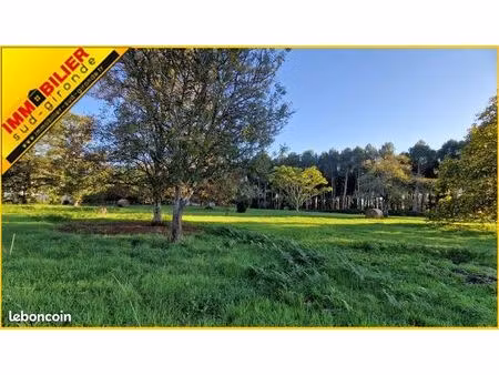 terrain 1600 m² bazas