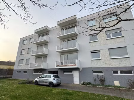 appartement à louer molsheim