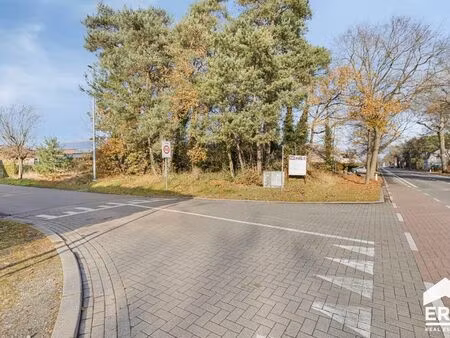 terrain à vendre à lommel € 165.000 (li9ly) - era carl tournier (lommel) | zimmo