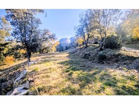 terrain oms m² t- à vendre  160 000 €