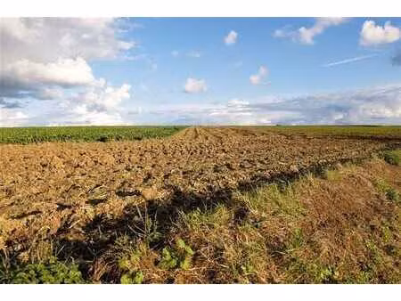 terrains agricoles libres