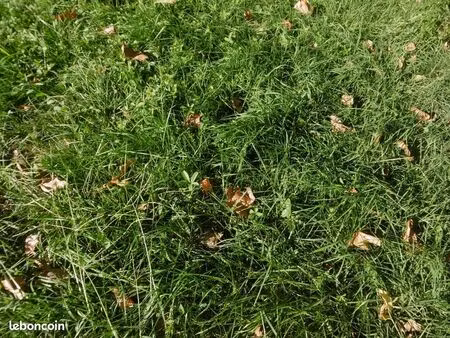 perrex- parcelle de terrain hors lotissement