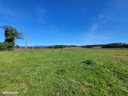 terrain constructible