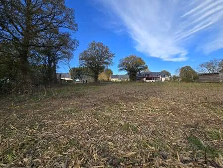 vente terrain à caro (56140) : à vendre / 8460m² caro
