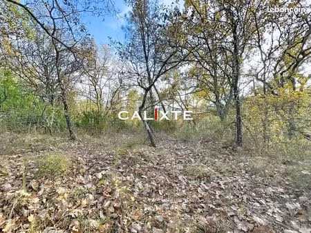 terrain 17980 m² saint-paul-en-forêt