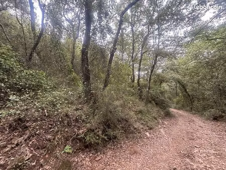 terrain 11265 m² puget-ville