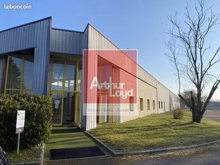 entrepot - logistique 6022 m² piney