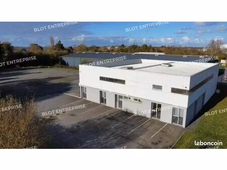local d'activité 450 m²