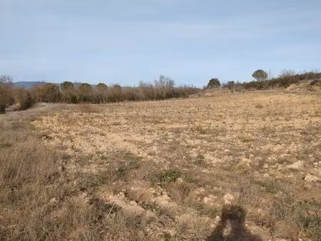 vente terrain agricole