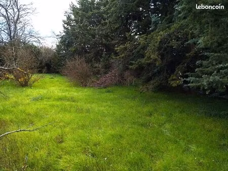 terrain 2 222 m² saint maximin la sainte baume