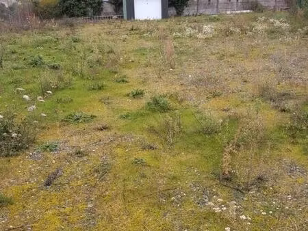 terrain constructible zone artisanale