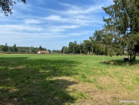 terrain constructible