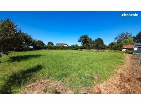 terrain constructible