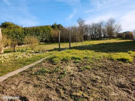 terrain thivars 894 m2