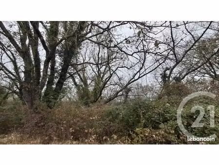 terrain 2 618 m² sardan