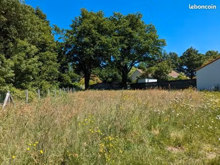 beau terrain à bâtir proche des commerces et services des hauts de ribou
