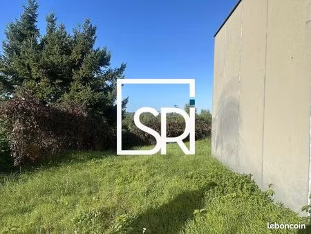 local commercial 388 m²