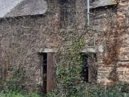 maison 1 pièce 34 m²