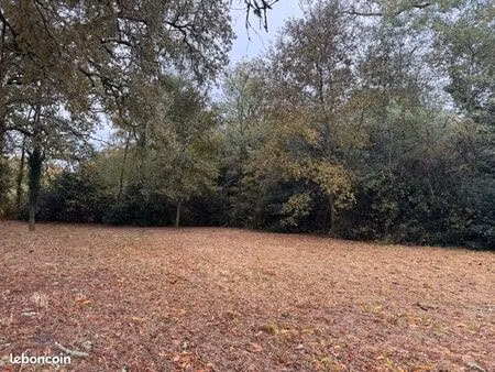 terrain 1 163 m² louchats