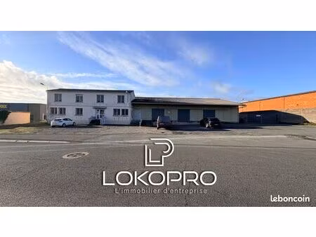 local 1395 m² cholet