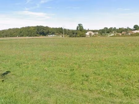 terrain roullet st estephe