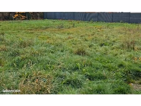 terrain constructible