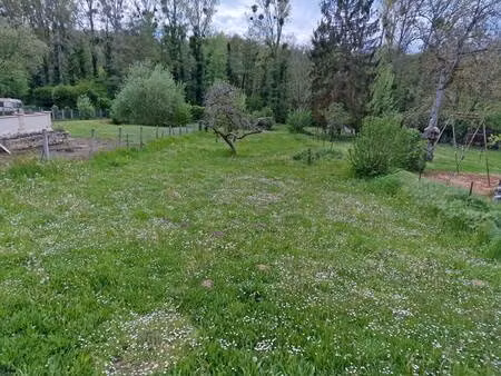 tlg catenne immobilier