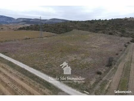terrain agricole 23 110 m² tautavel