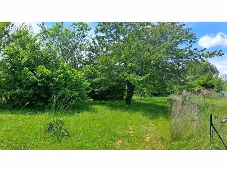 vend grand terrain constructible