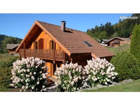 ensemble de 2 chalets mitoyens - xonrupt