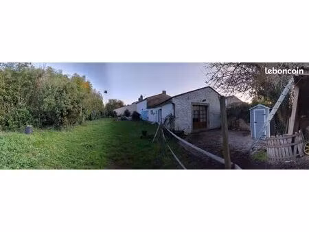 maison avec grand terrain