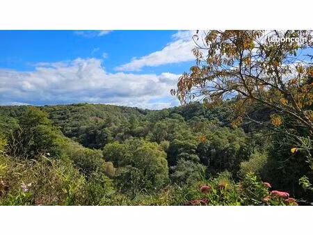 propriété 11 pièces 250 m²