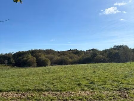 terrain plat constructible