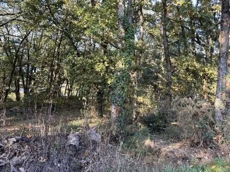 terrain constructible viabilisé à vendre